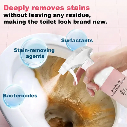 🌹 Bathroom Cleaning Foam Spray – Instantly Removes Toilet Stains & Odors ✨ -III