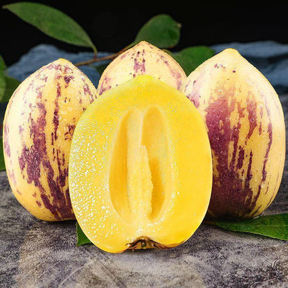 🍈✨The Ultimate Backyard Pepino Melon Seeds: Grow Exotic Sweet Fruits with Ease | High-Yield Garden Variety for Home Growers 🍈✨-JY