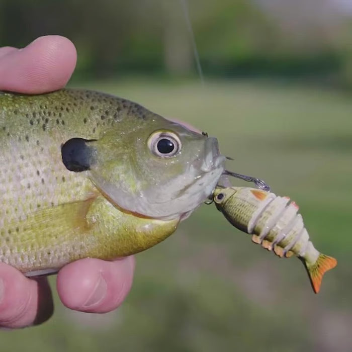 🔥 HOT SALE 49% OFF🔥2'' Lifelike Fishing Lures for Freshwater and Saltwate-EDC