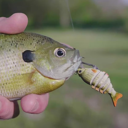 🔥 HOT SALE 49% OFF🔥2'' Lifelike Fishing Lures for Freshwater and Saltwate-EDC