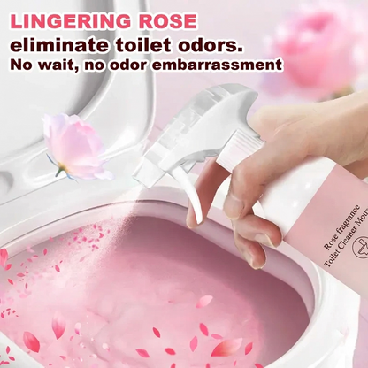 🌹 Bathroom Cleaning Foam Spray – Instantly Removes Toilet Stains & Odors ✨ -III