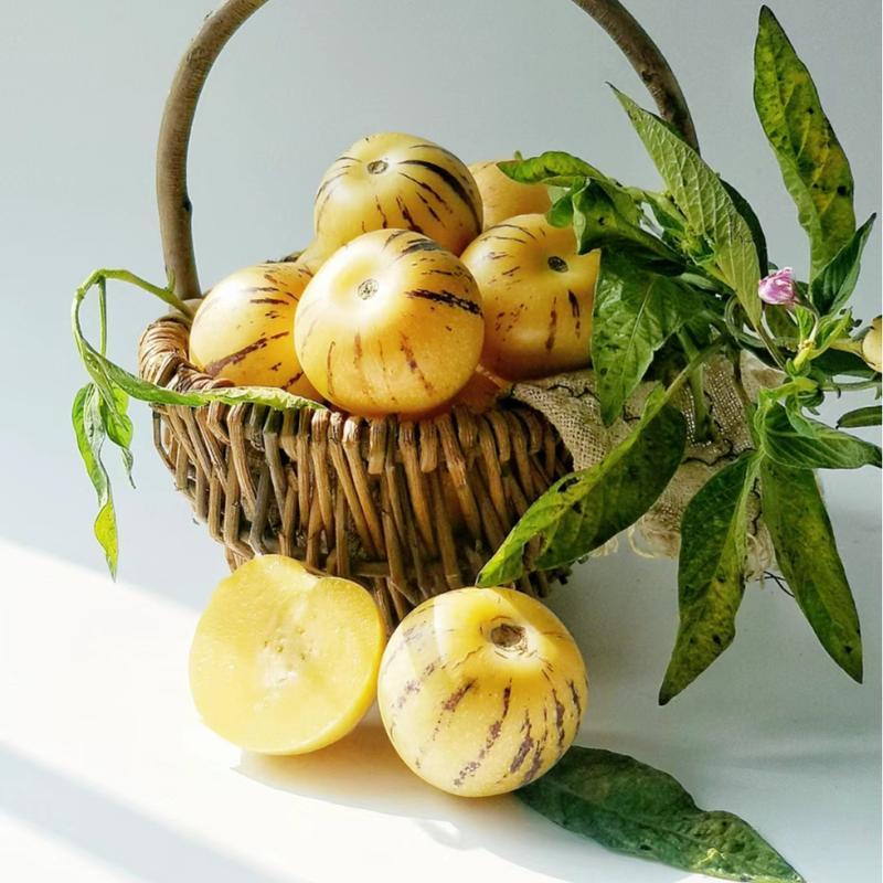 🍈✨The Ultimate Backyard Pepino Melon Seeds: Grow Exotic Sweet Fruits with Ease | High-Yield Garden Variety for Home Growers 🍈✨-JY