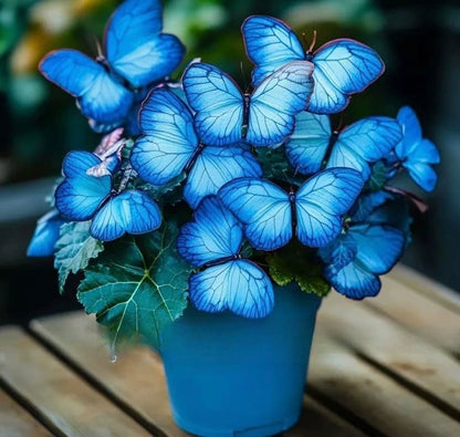 🦋Butterfly Begonia Seeds, 💐Rare Mixed Color Foliage Plant-XXS🦋