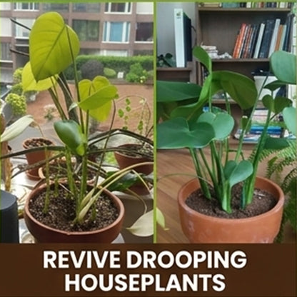 Bring Your Soil Back to Life. No More Drooping Plants or Tired Soil.-JY