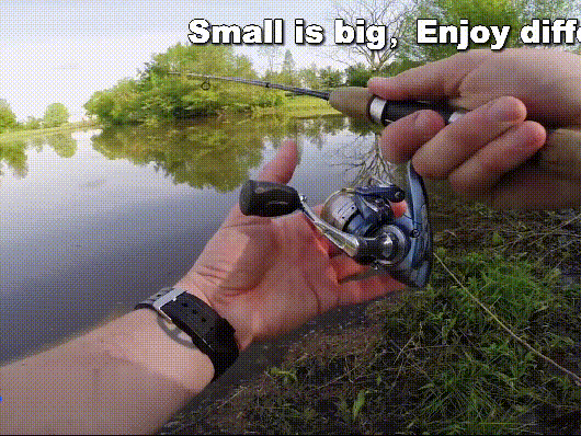🔥 HOT SALE 49% OFF🔥2'' Lifelike Fishing Lures for Freshwater and Saltwate-EDC