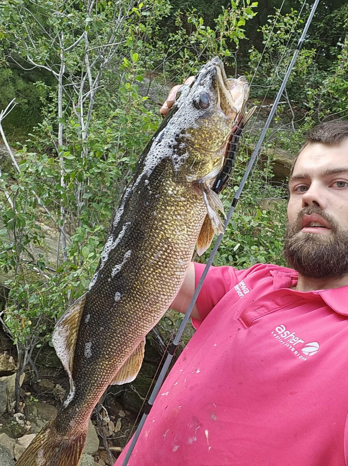 files/Great_fishing_lure.jpg