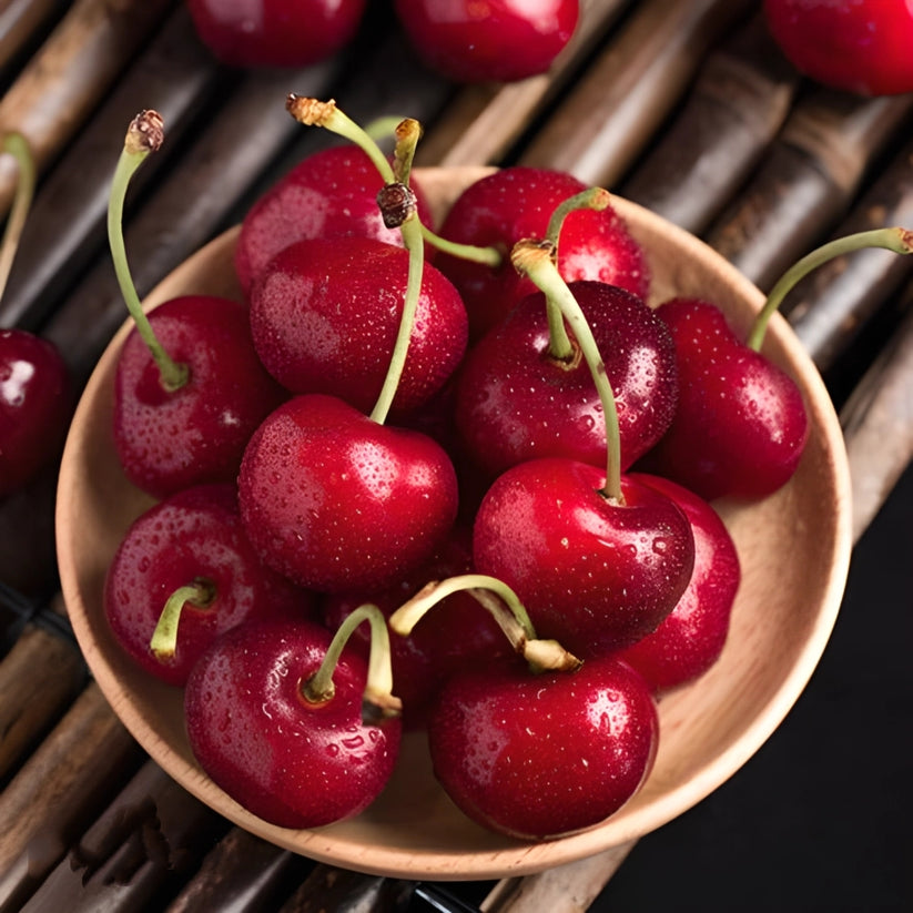 🍒✨The Ultimate Backyard Cherry Variety: Imparts Classic American Curb Appeal | High-Yield Orchard Grade Selection 🍒✨-JY